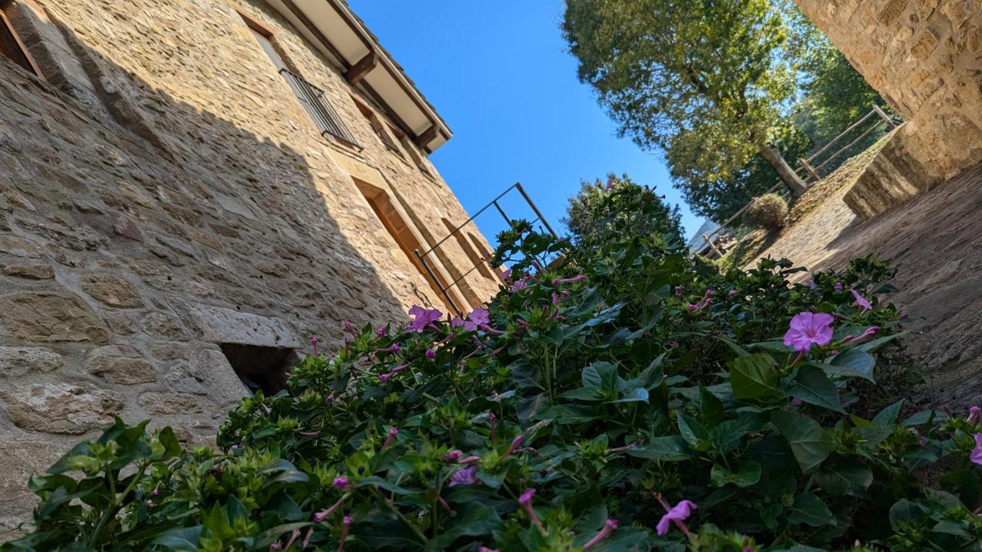 Mas El Carrer Daire Santa Pau Dış mekan fotoğraf